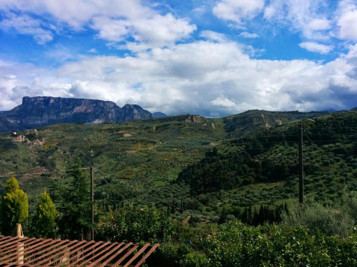 Ampelos Estate Akrata Luaran gambar