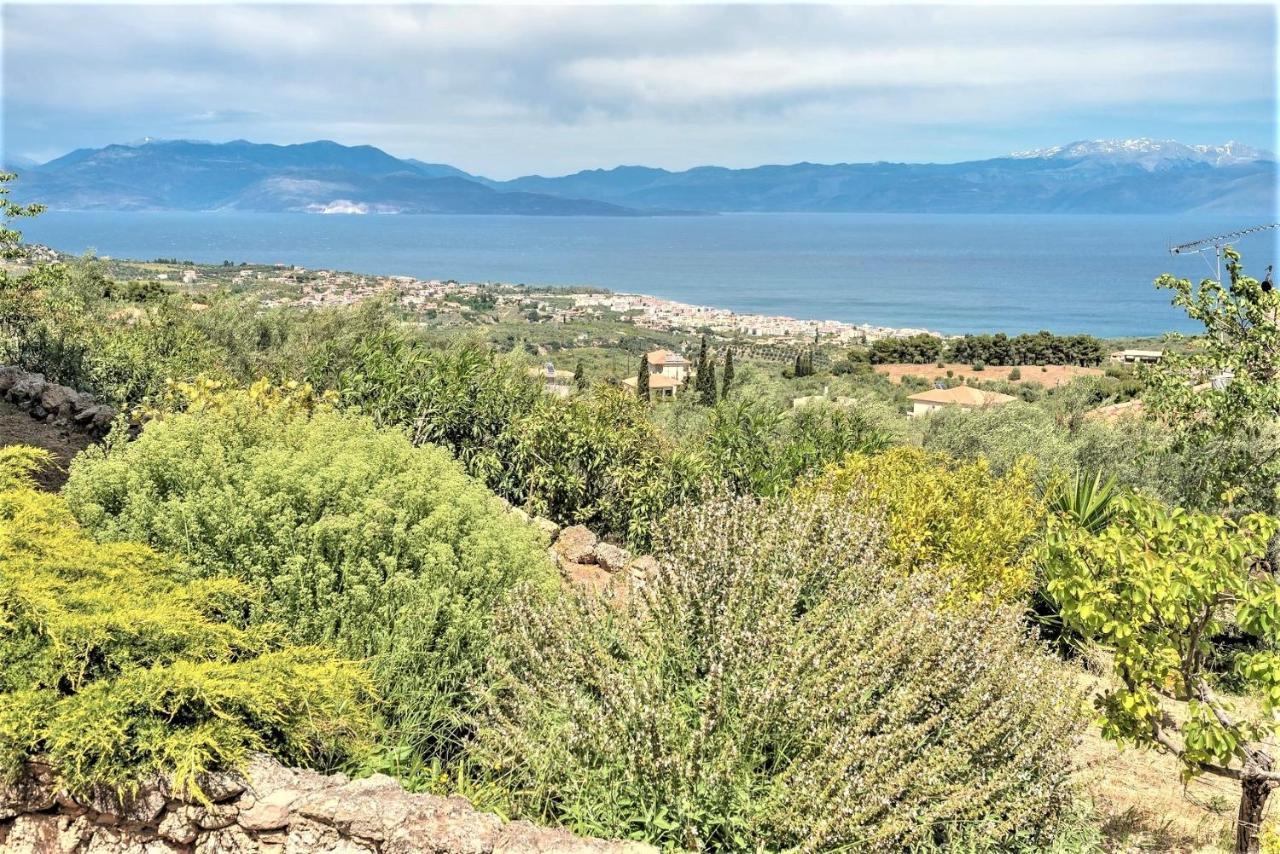Ampelos Estate Akrata Luaran gambar