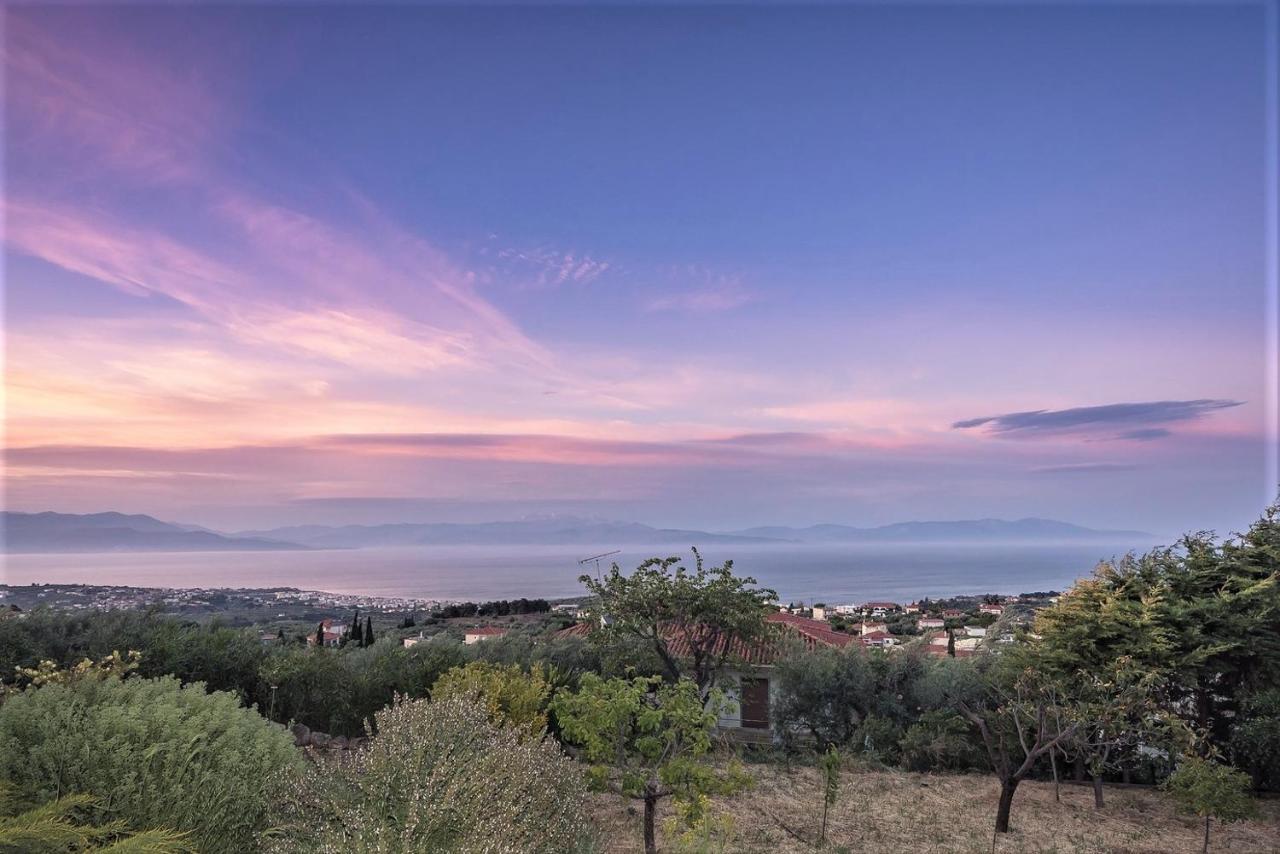 Ampelos Estate Akrata Luaran gambar